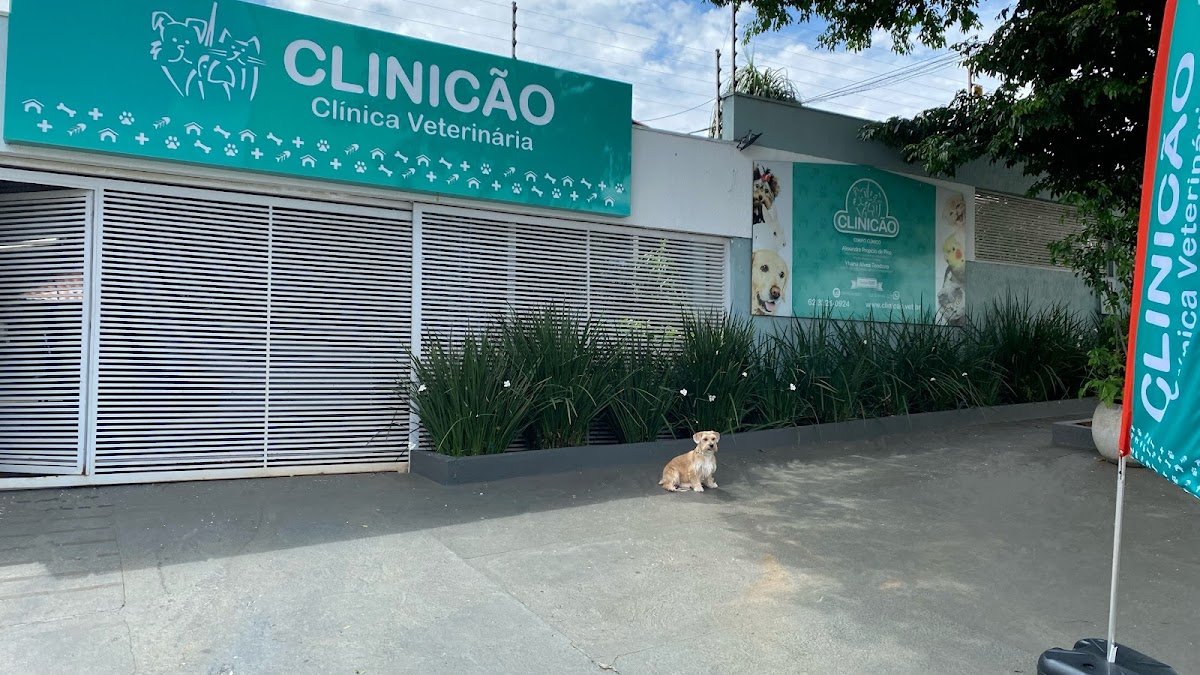 Clinicão Veterinary Clinic