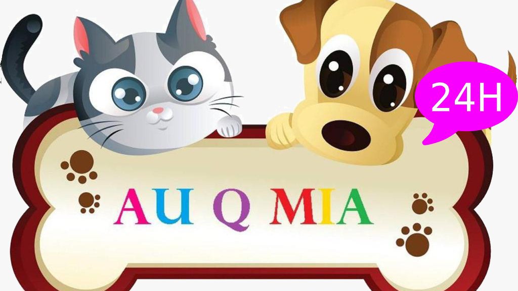 Au Q Mia Clinica Veterinaria