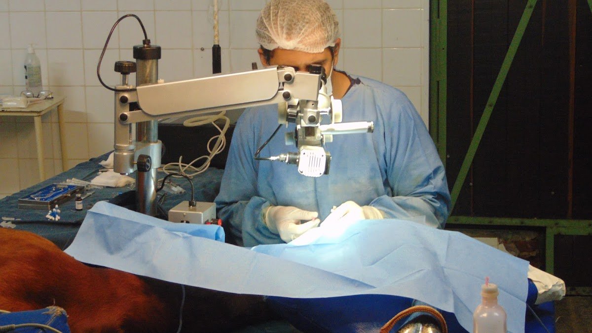 Clínica Visão Equina