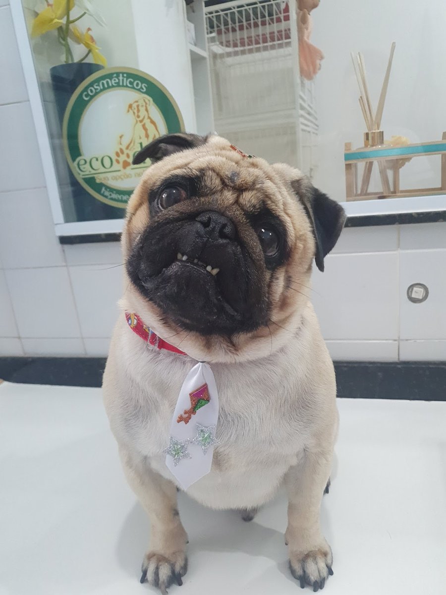 Clínica Veterinária Ramos