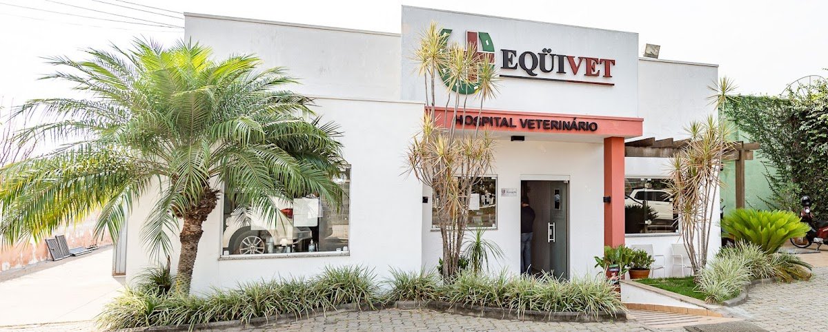 Clínica Equinos Dr José Aldo P M Santos