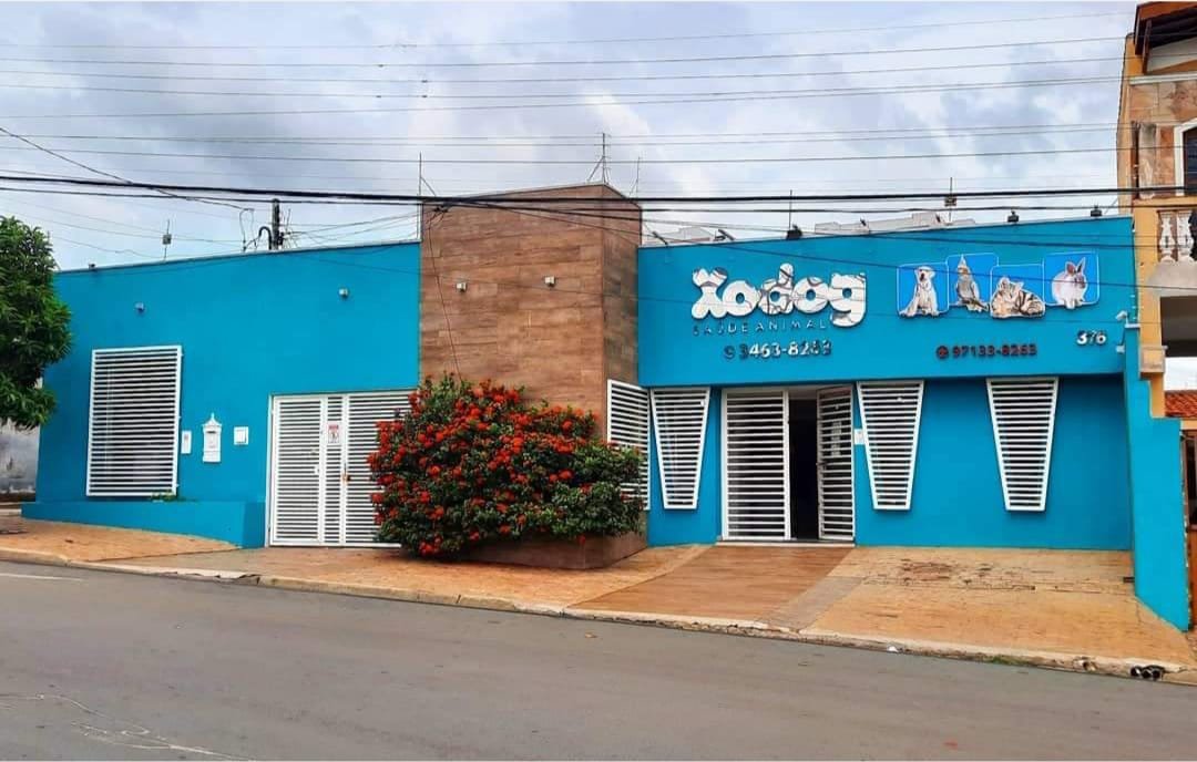 Xodog Saúde Animal