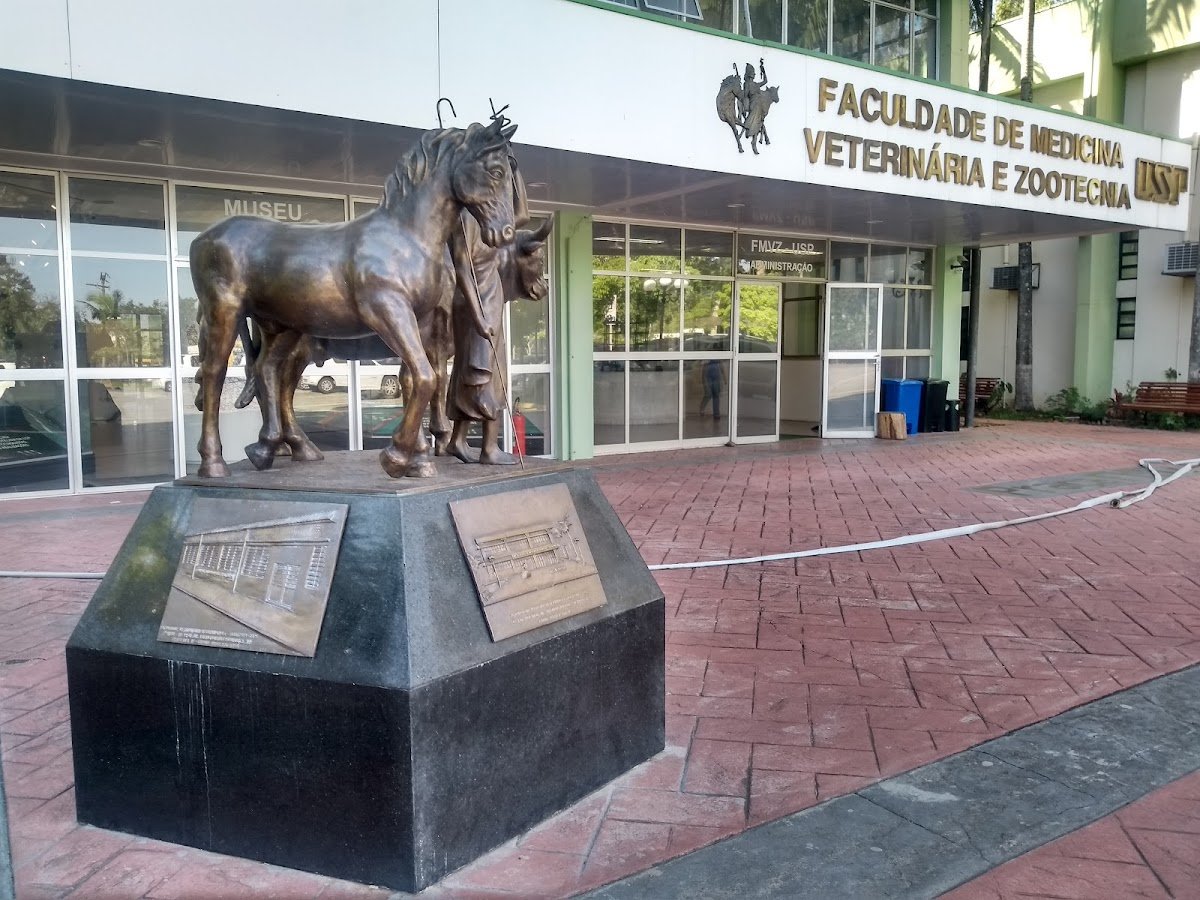 Faculdade de Medicina Veterinária e Zootecnia USP