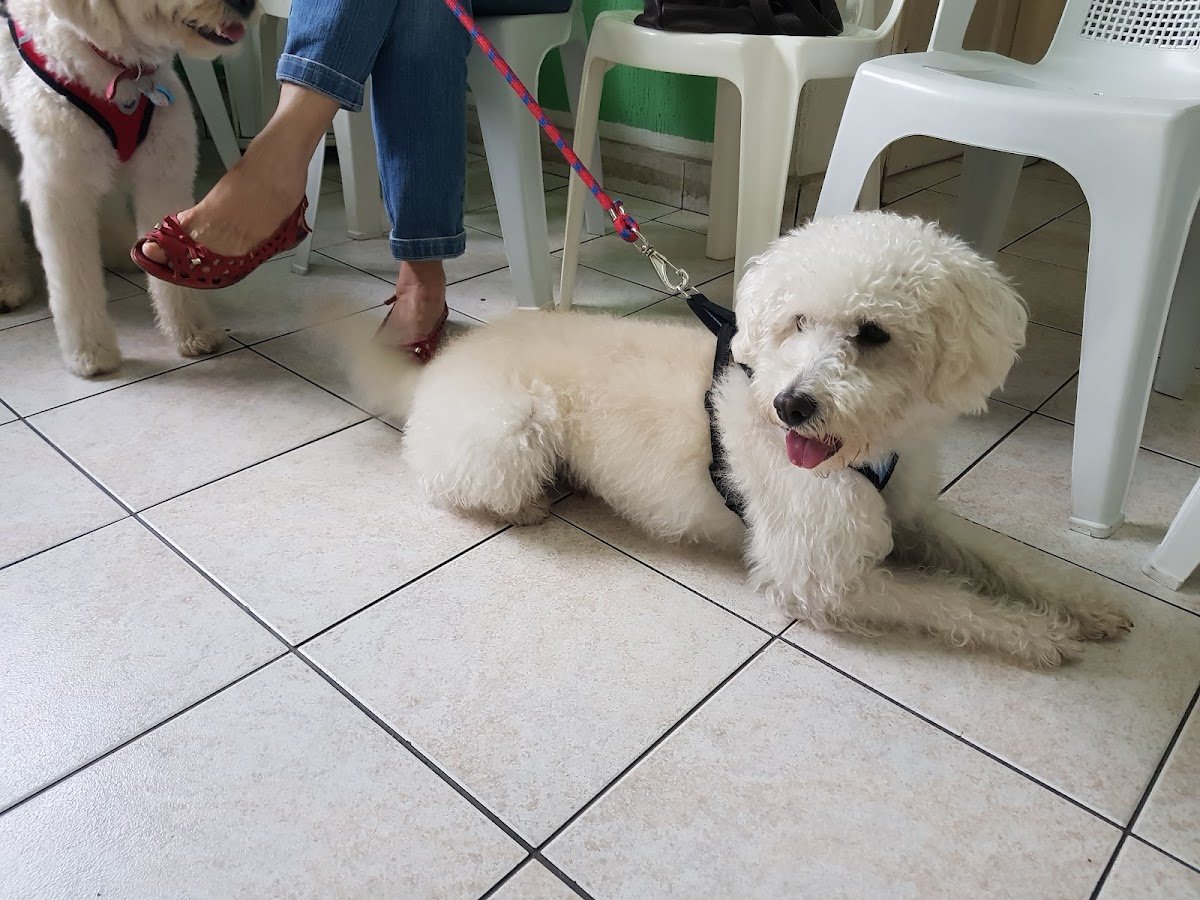 Clinica Veterinária Paty Patynhas