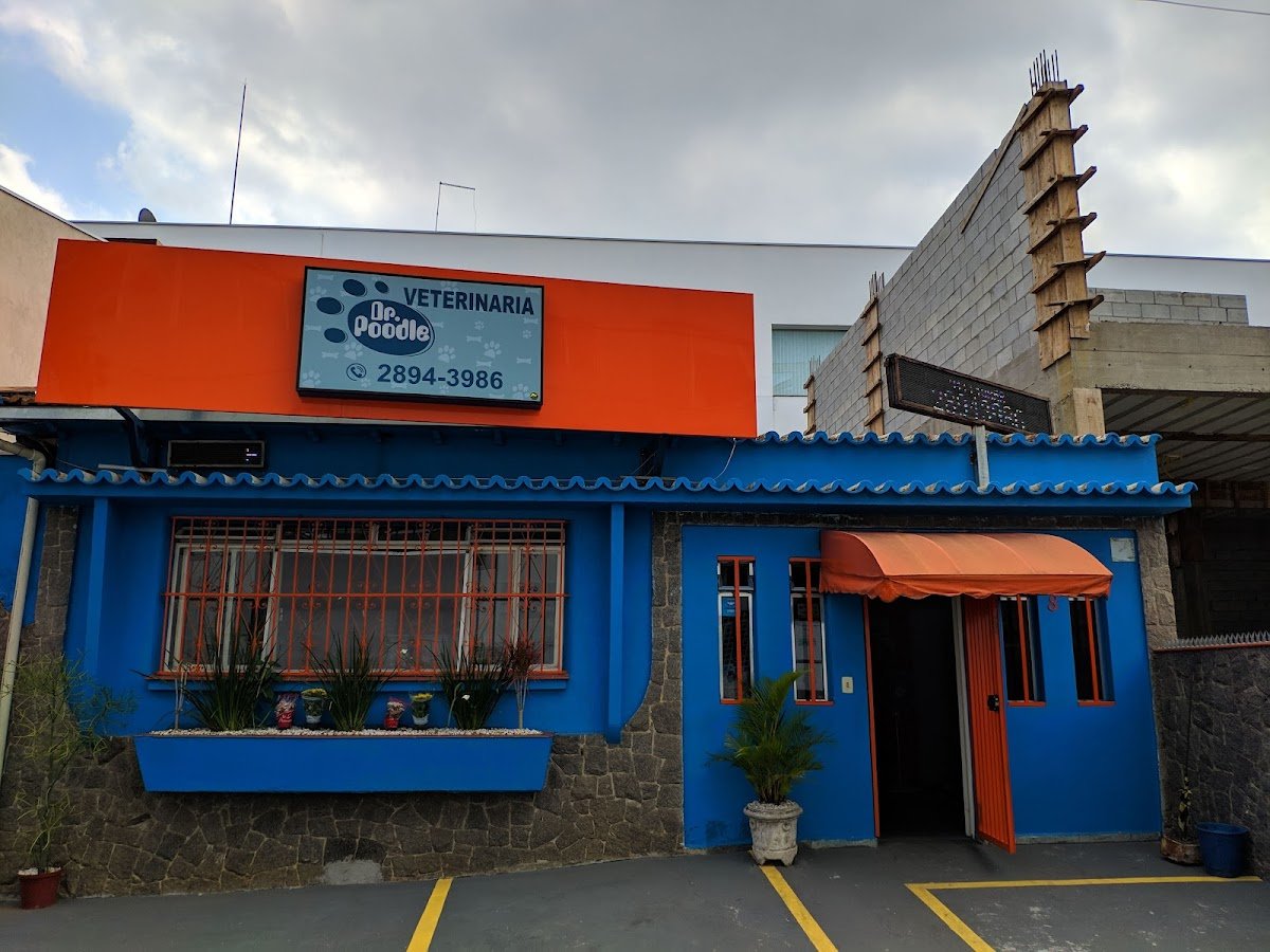 Dr. Poodle Veterinário