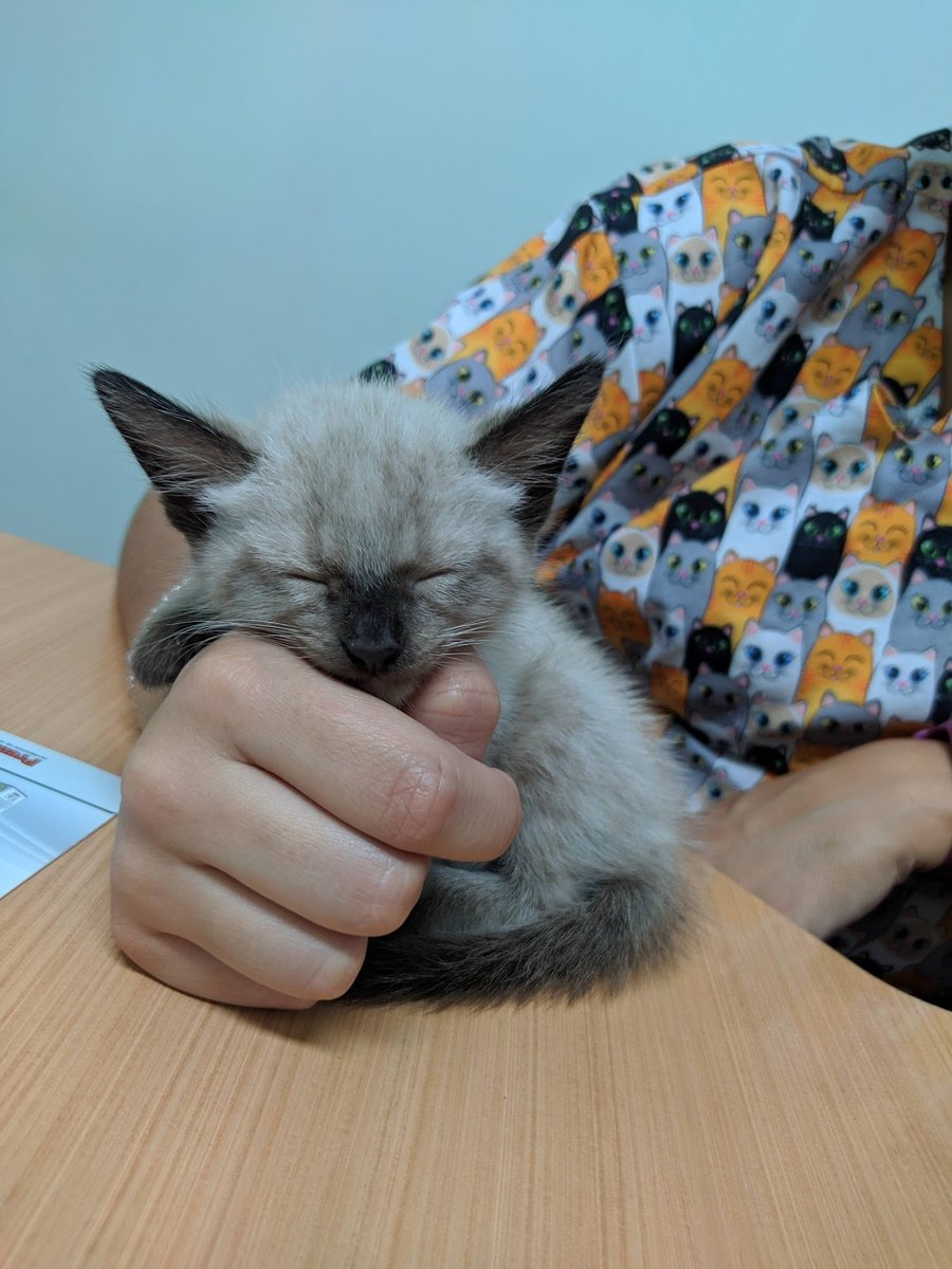 Cevet Sfa Centro Veterinário São Francis