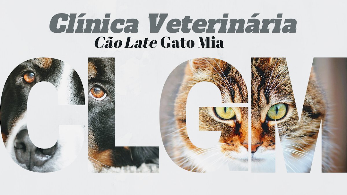 cão late gato mia
