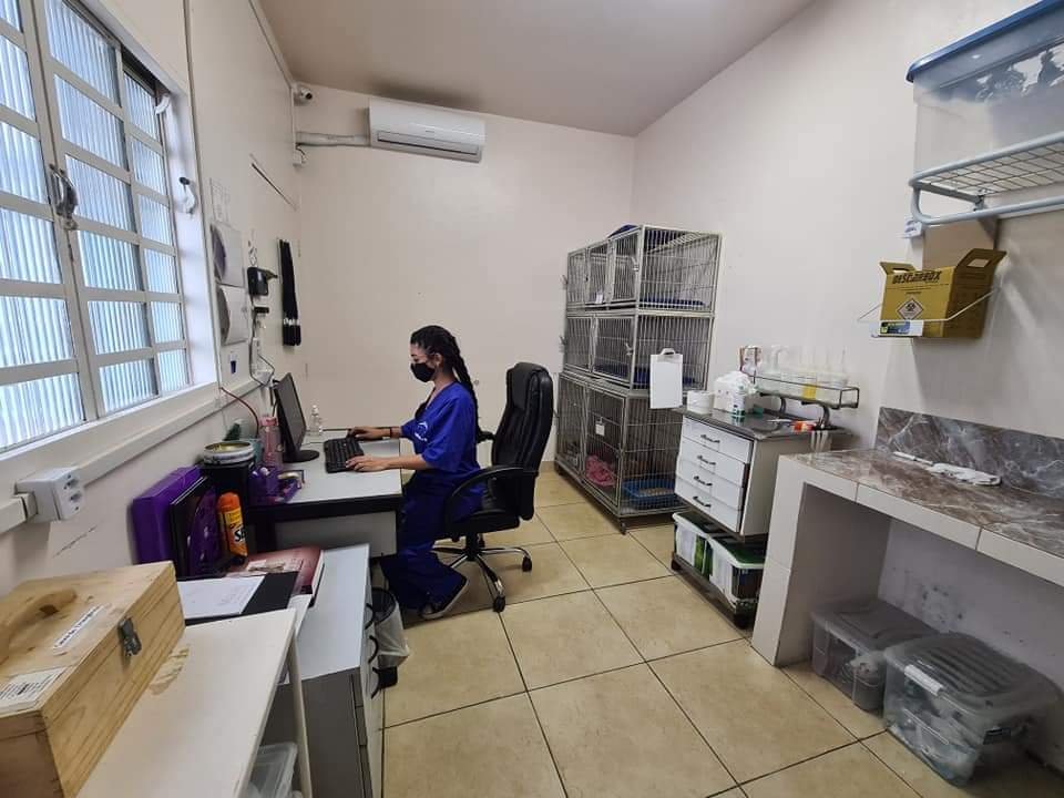 Clínica Veterinária