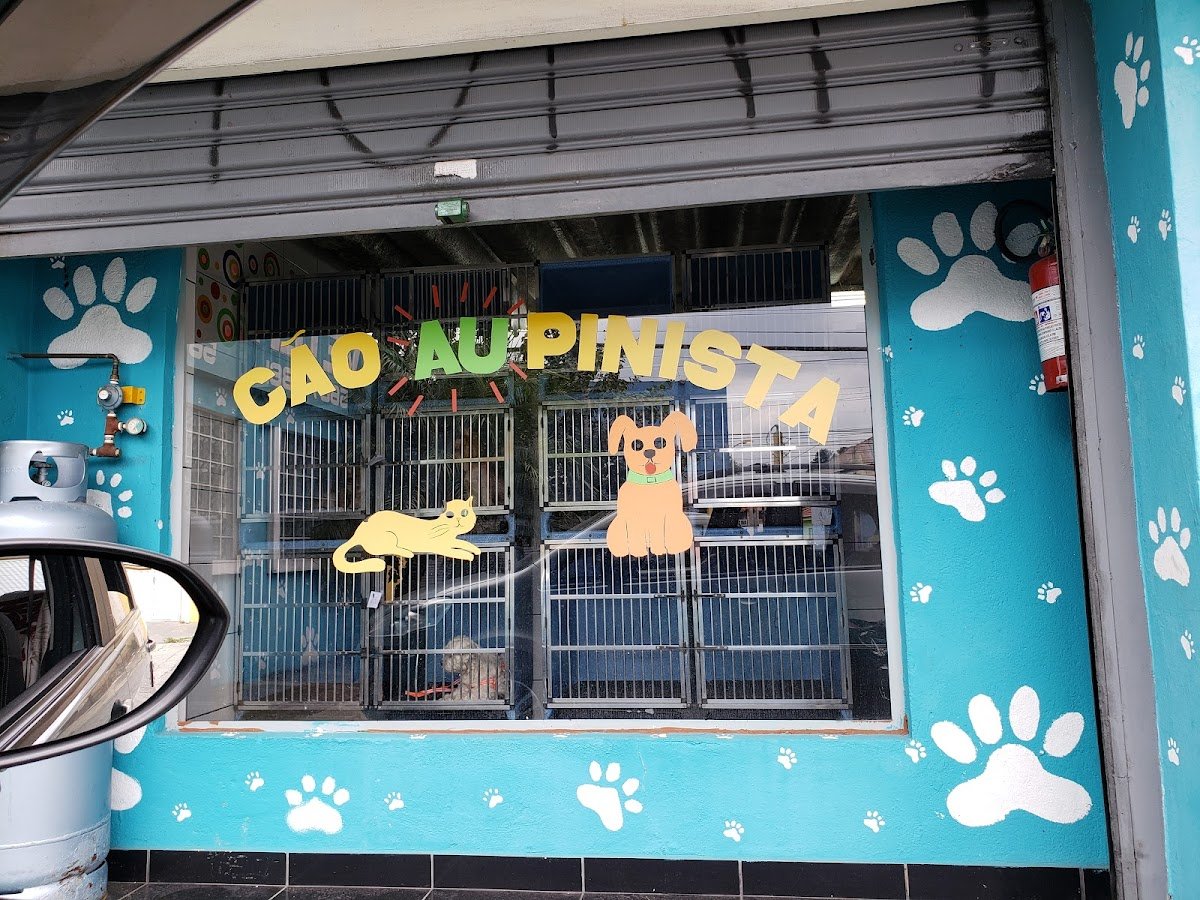 Cão Au Pinista