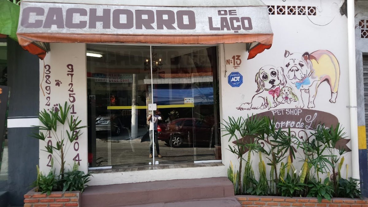 Cachorro de Laço Pet Shop