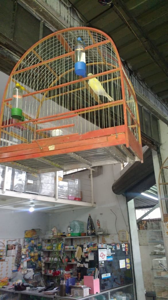 Avicultura Recanto dos Animais