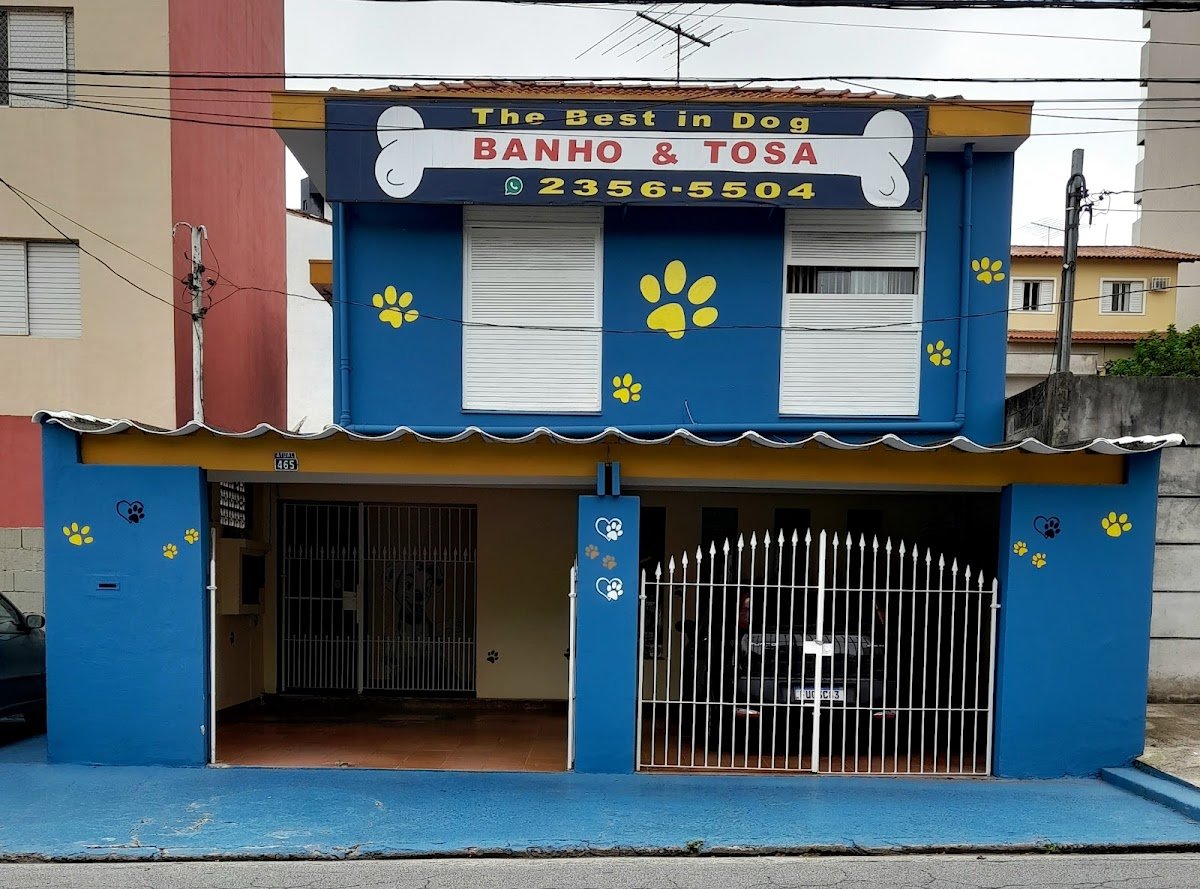 The Best In Dog Pet Shop