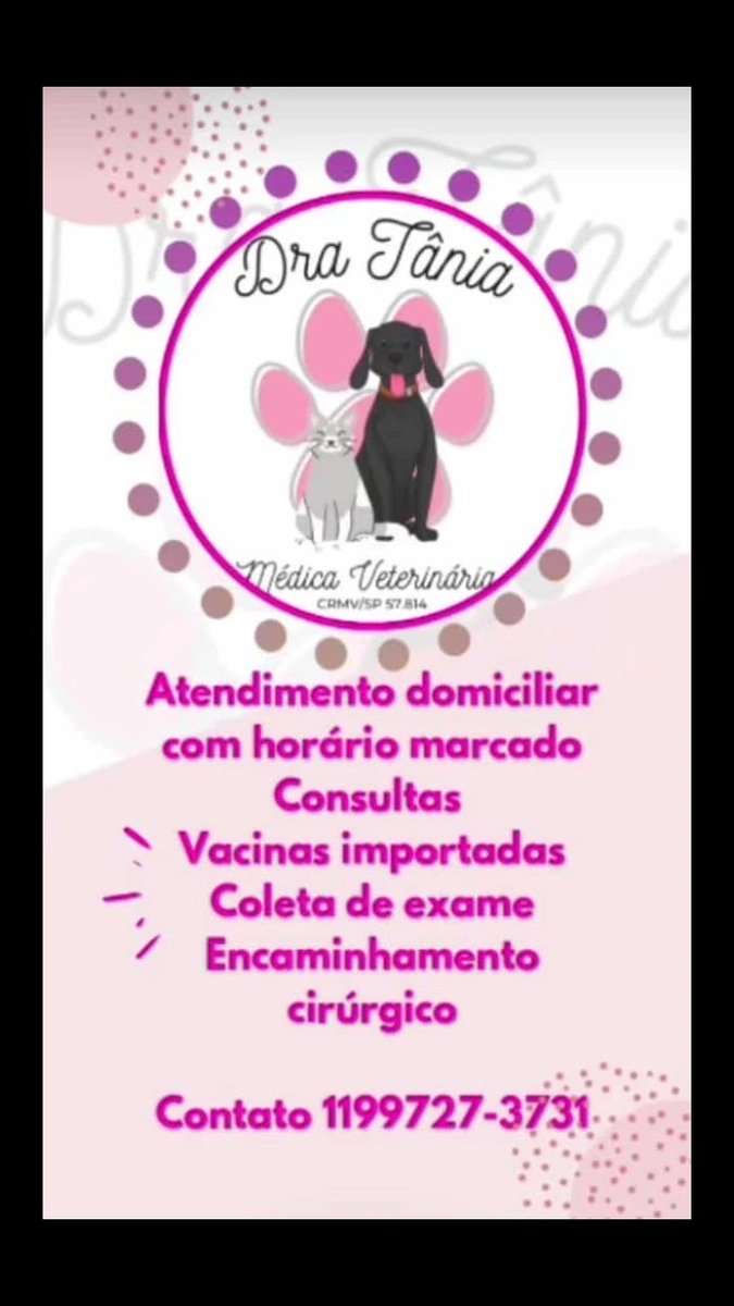 Veterinário em Domicílio