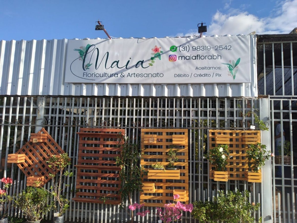 Flor e Cultura Maia e Cunha