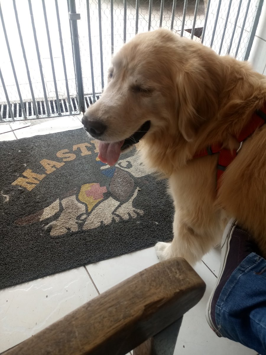 VETERINÁRIA MASTERVET