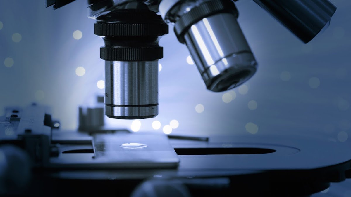 Anclivet Laboratório Veterinário