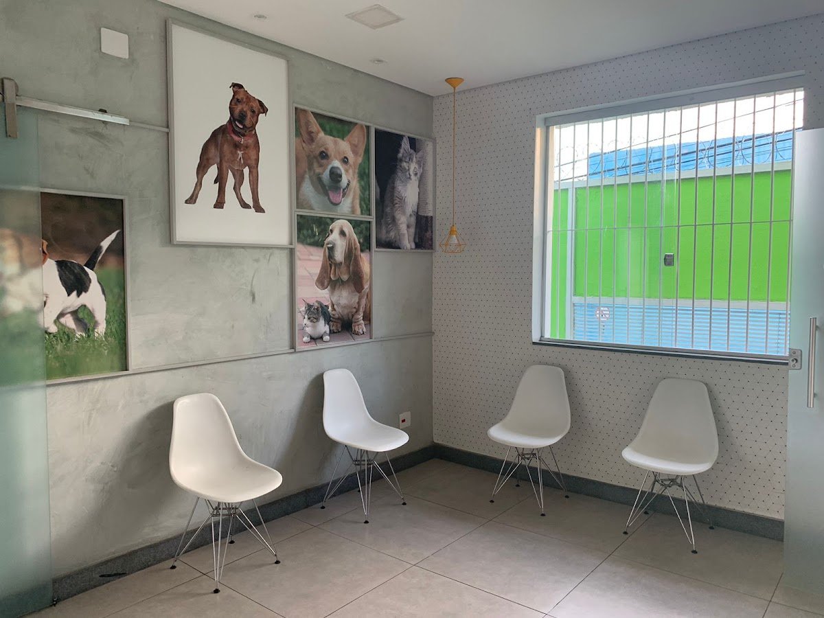 Clinica Veterinaria