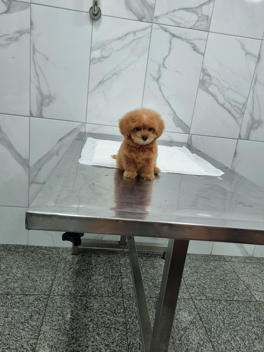 Hospital Veterinário Fisiopet