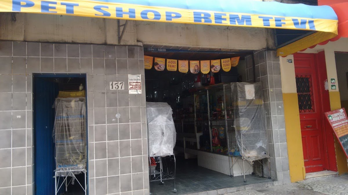 Pet Shop Bem Te Vi