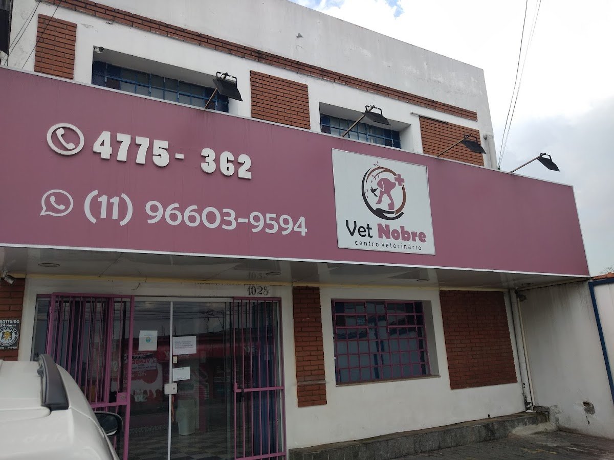 Veterinario