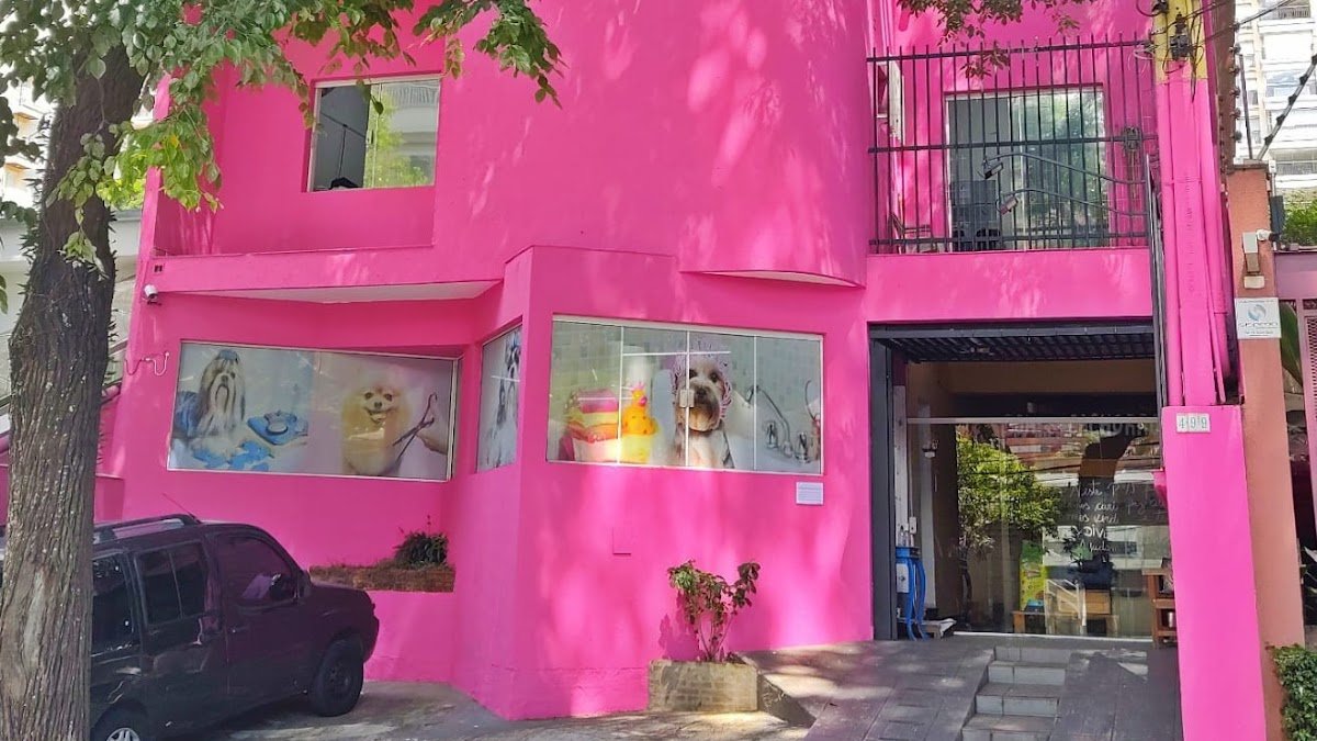 Cãobeleireiro Bom Pra Cachorro