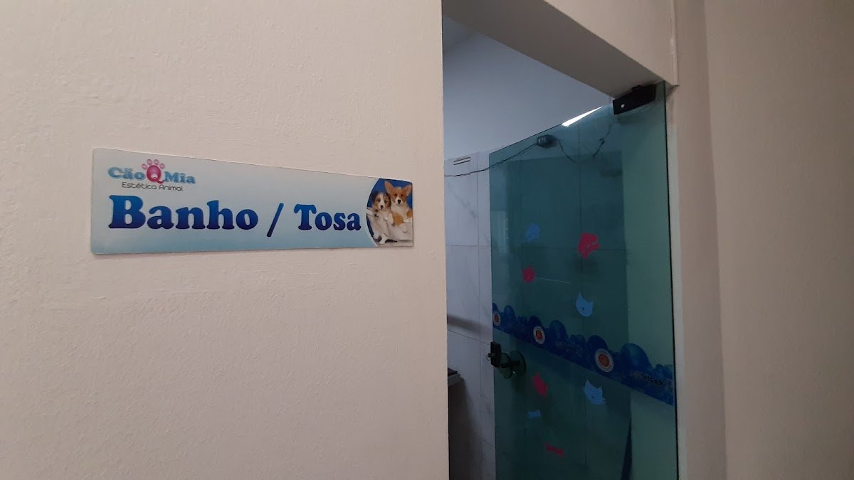 Cão Q Mia Estética Animal