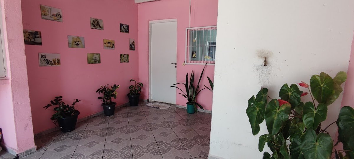 Eli Pet - Banho E Tosa