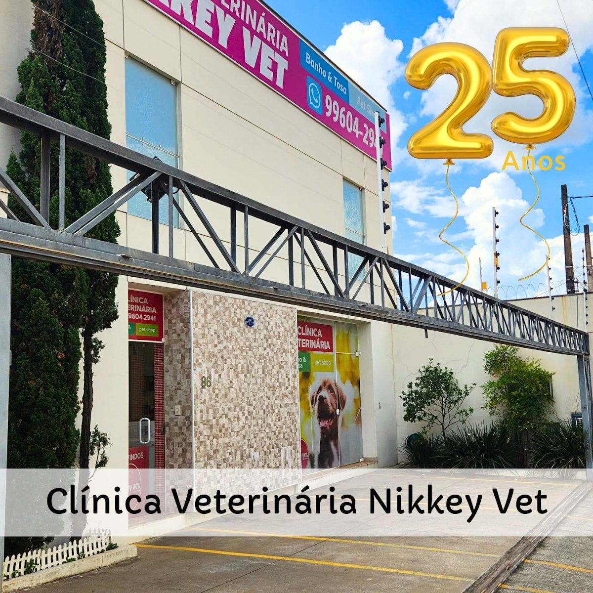 Clinica Nikkey Vet - Cães e Gatos
