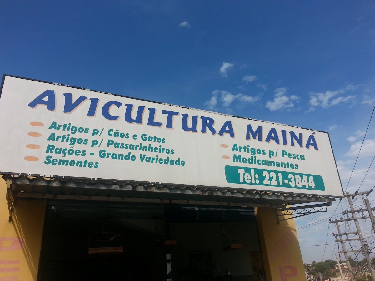 Avicultura Mainá