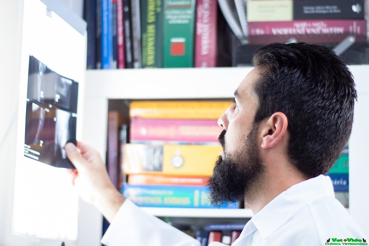 Vet+Vida Clínica Veterinária