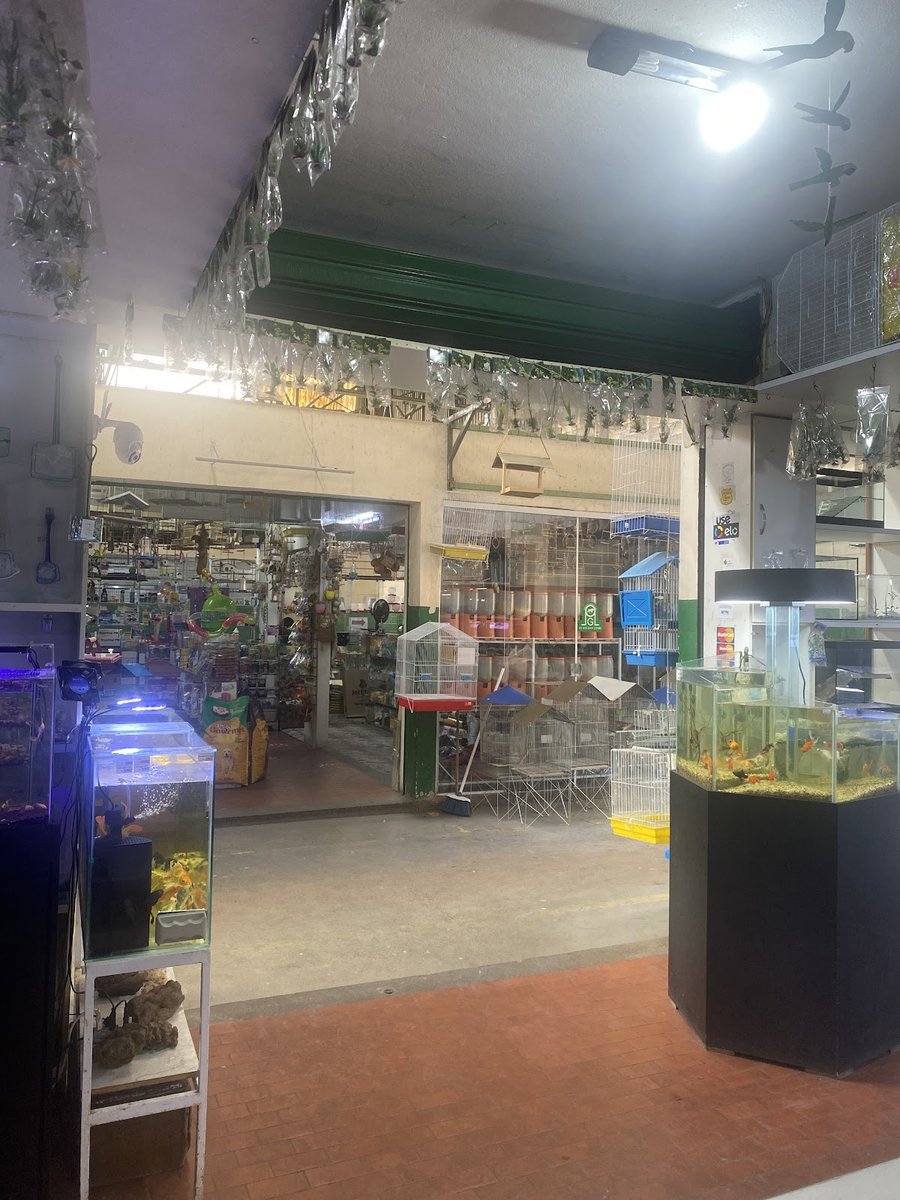 Pássaros e Gaiolas Leão Ltda