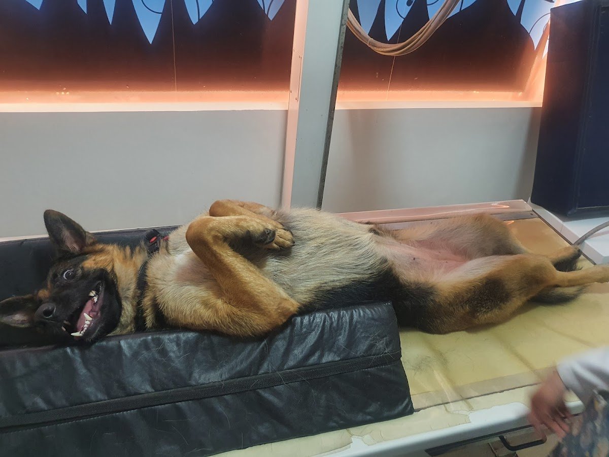 Due Diagnóstico por Imagem - Unidade Contagem