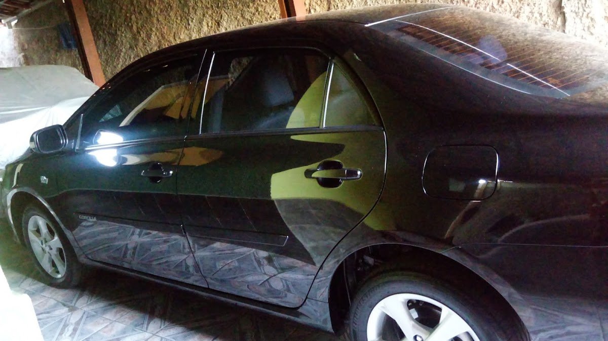 Armazém do Cachorro