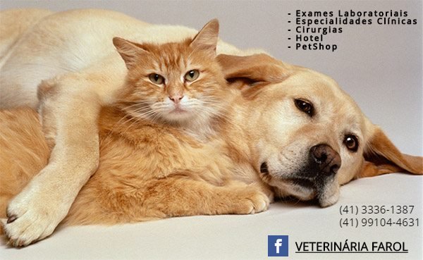 Clínica Veterinária Farol