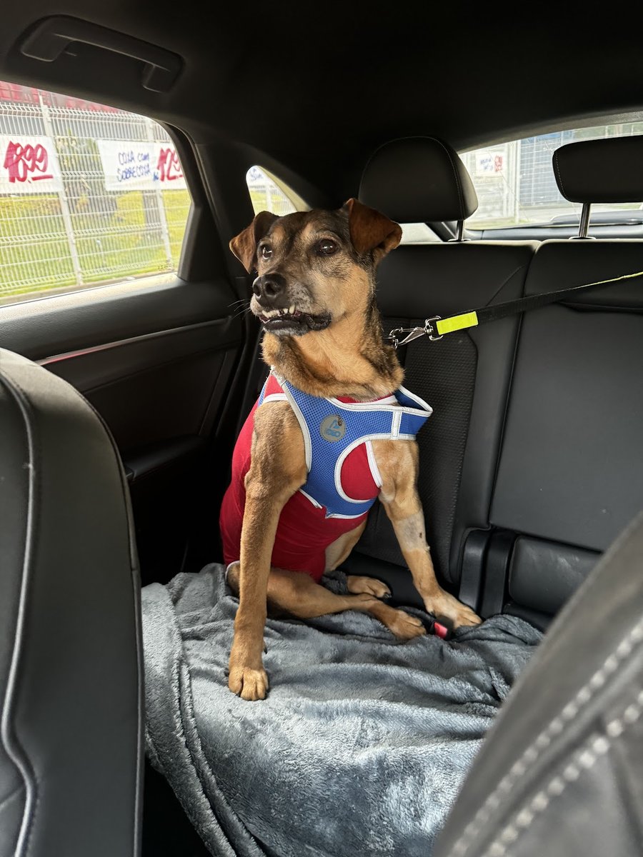 Clinica Veterinaria e Pet Garibaldi