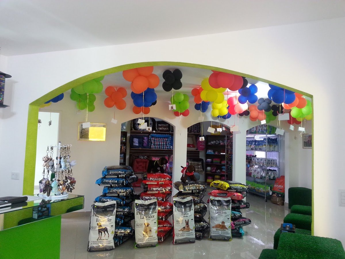 Rações em Curitiba Dog Online