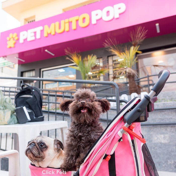 Pet Muito Pop