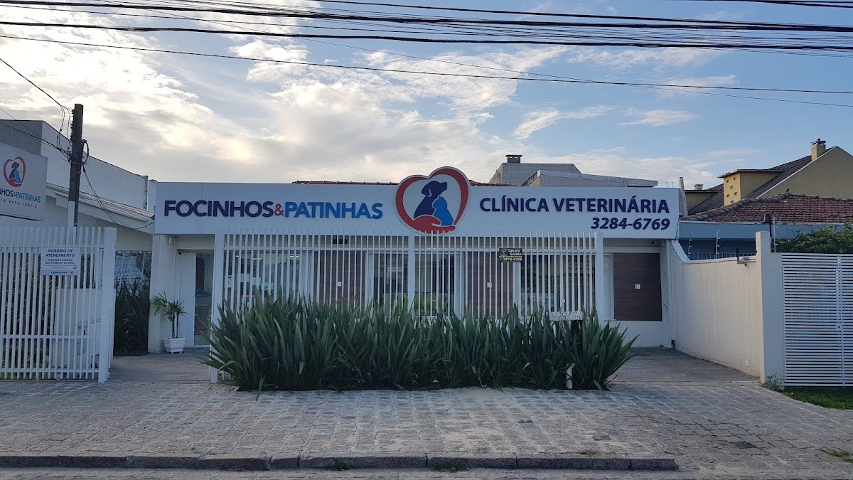 Clínica Veterinária Focinhos e Patinhas