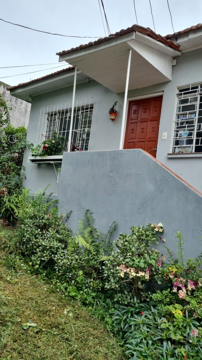 Veterinária São Jorge