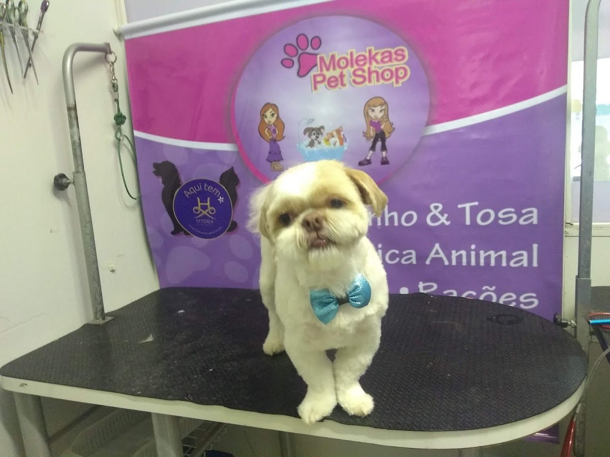Molekas Pet Shop