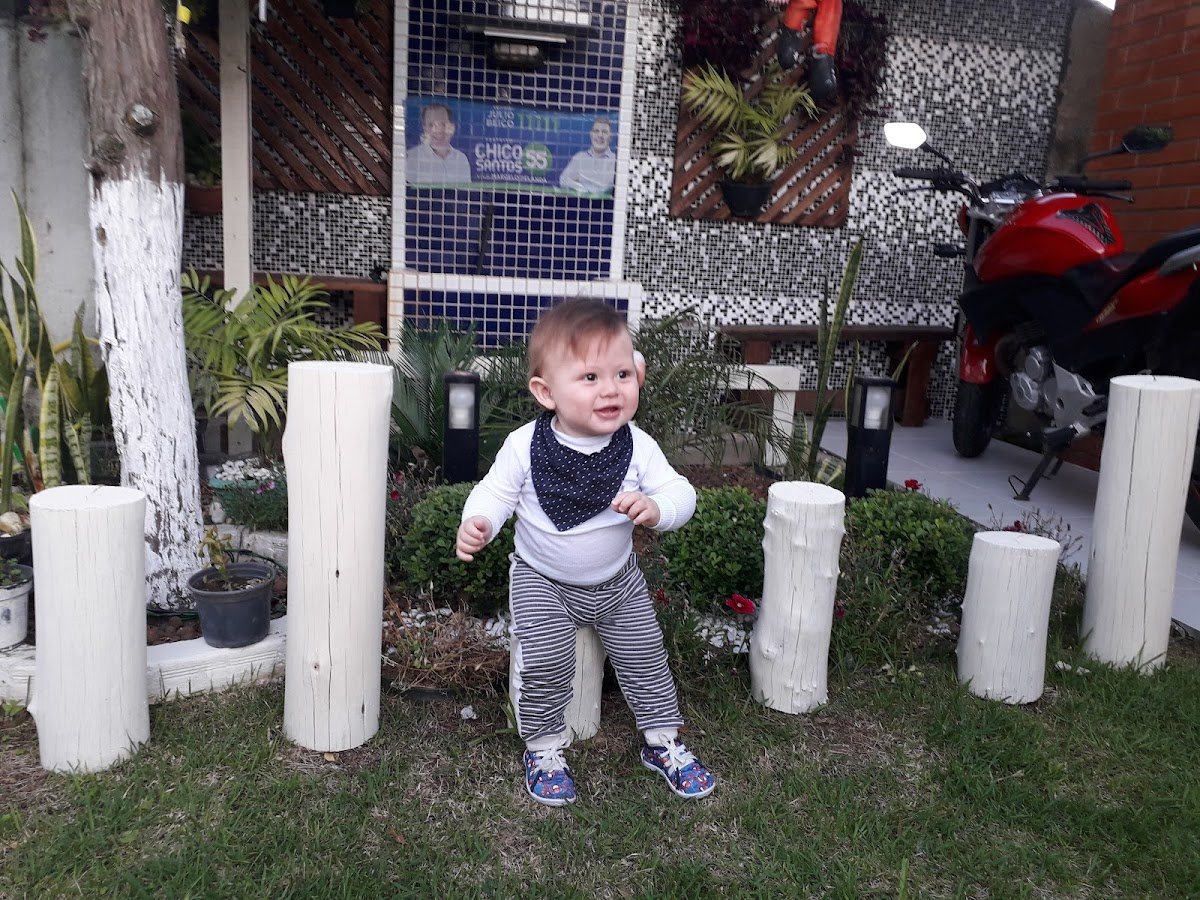 Pet Shop San Francisco