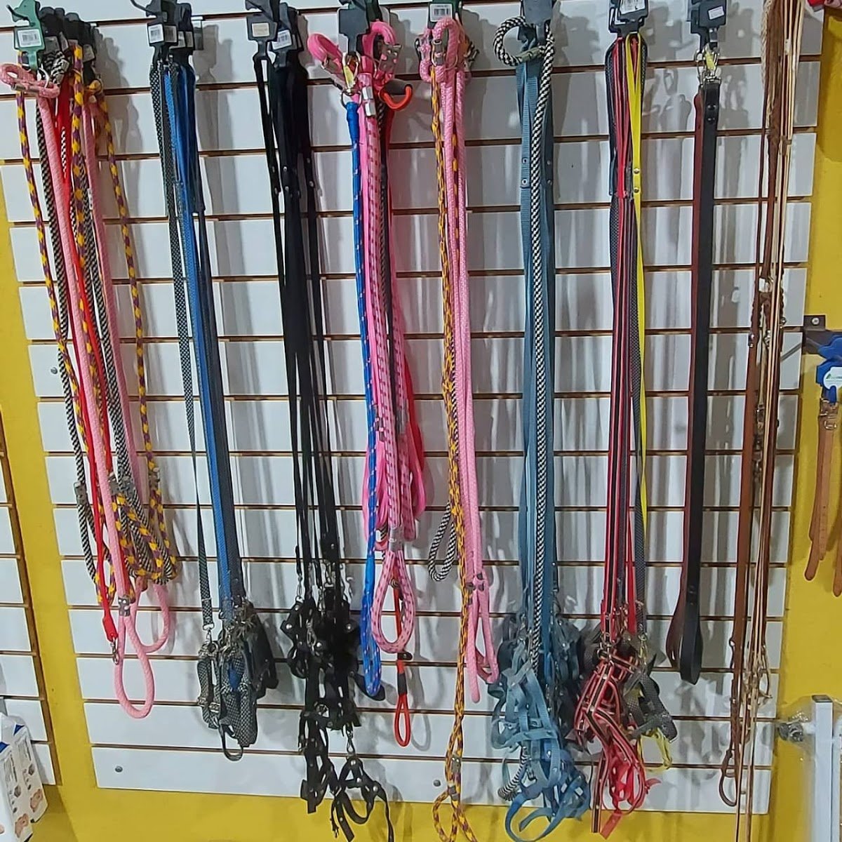 Goldvet Produtos Veterinários