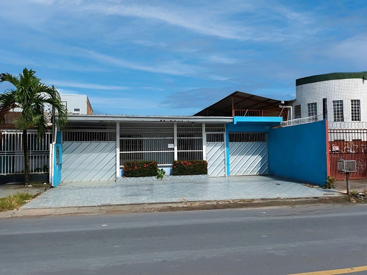 Animal Life - Assistência Veterinária