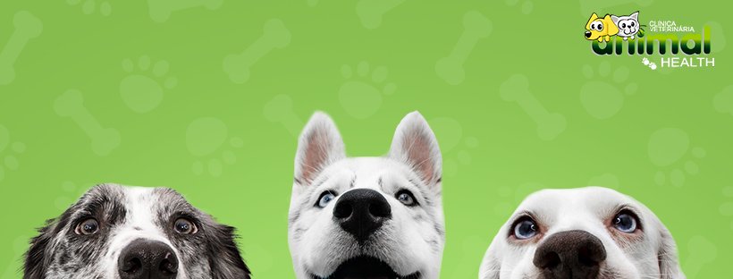 Animal Health Veterinary Clinic