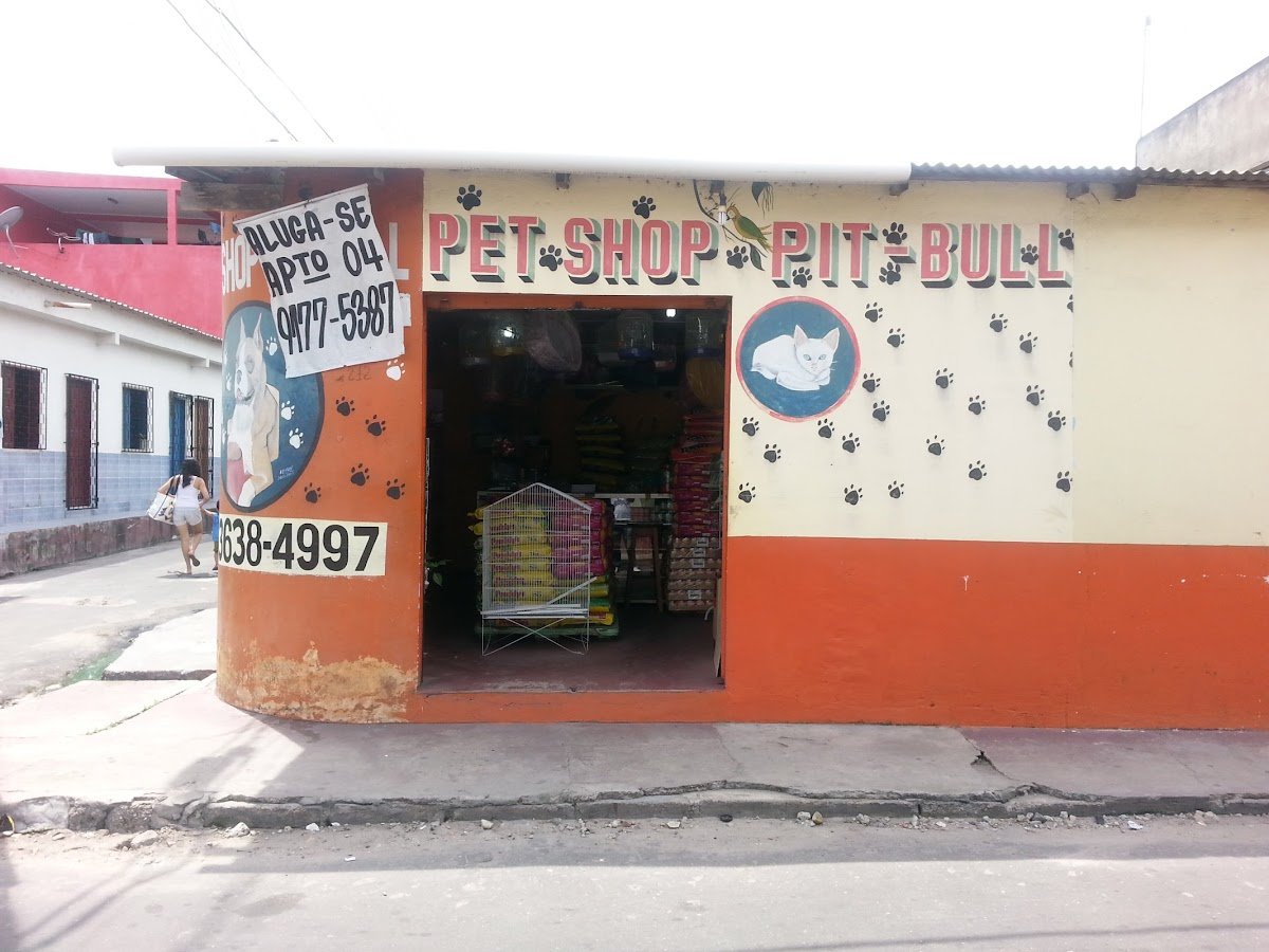 Pet Shop Pit Bull