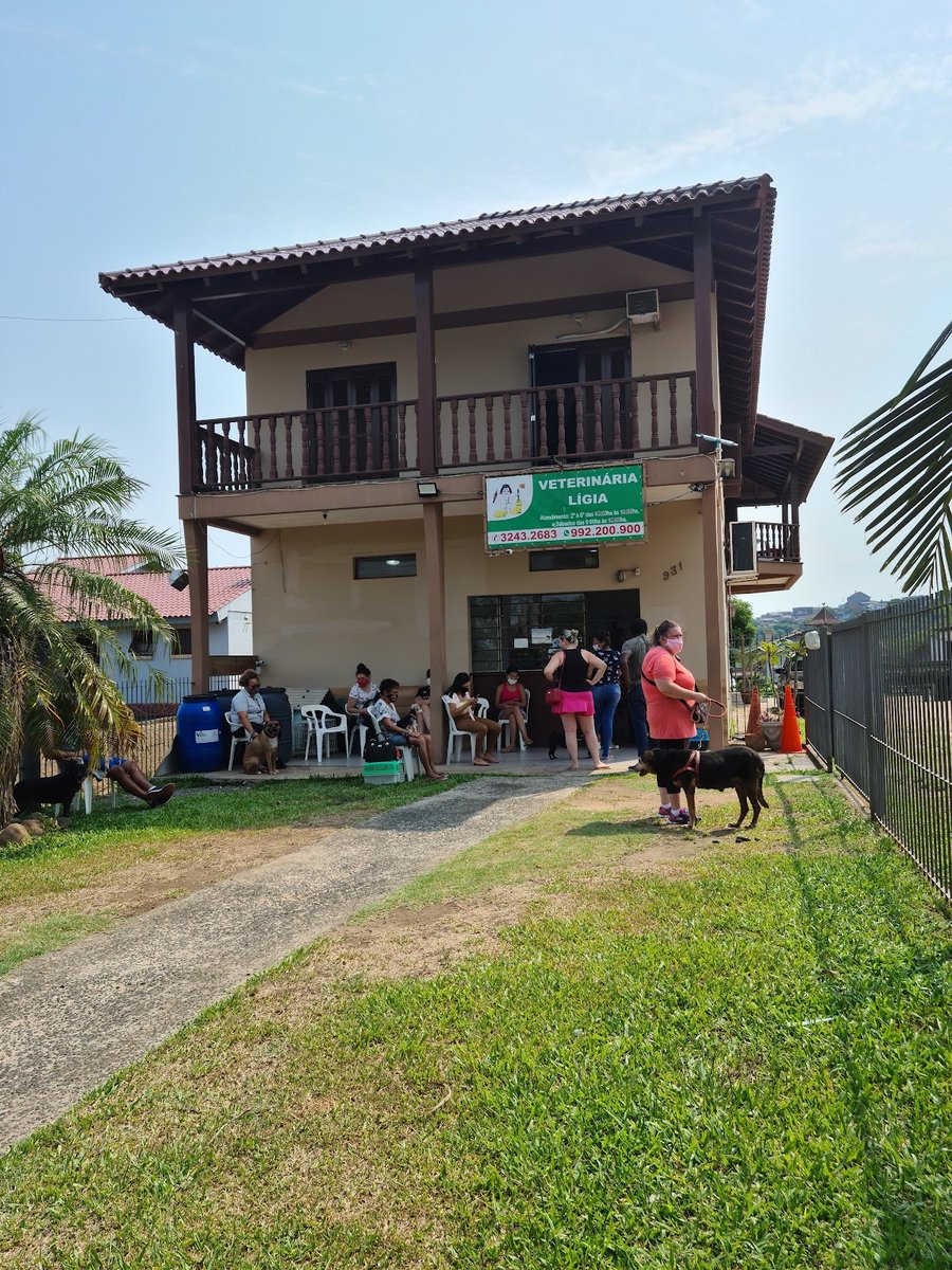 Veterinária Lígia