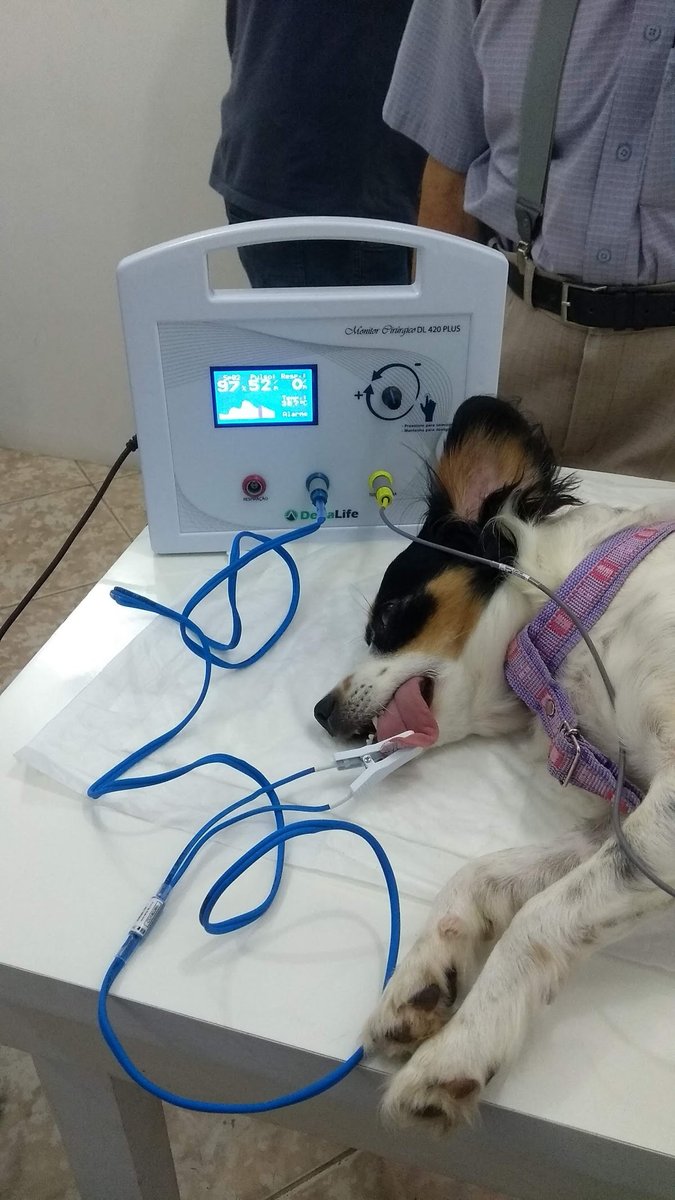 Espaço Pet Belém Novo