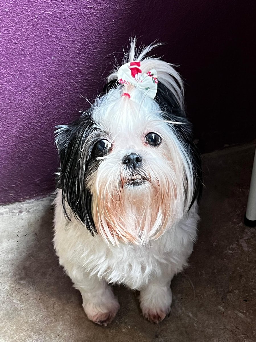 Farmácia Veterinária Cação