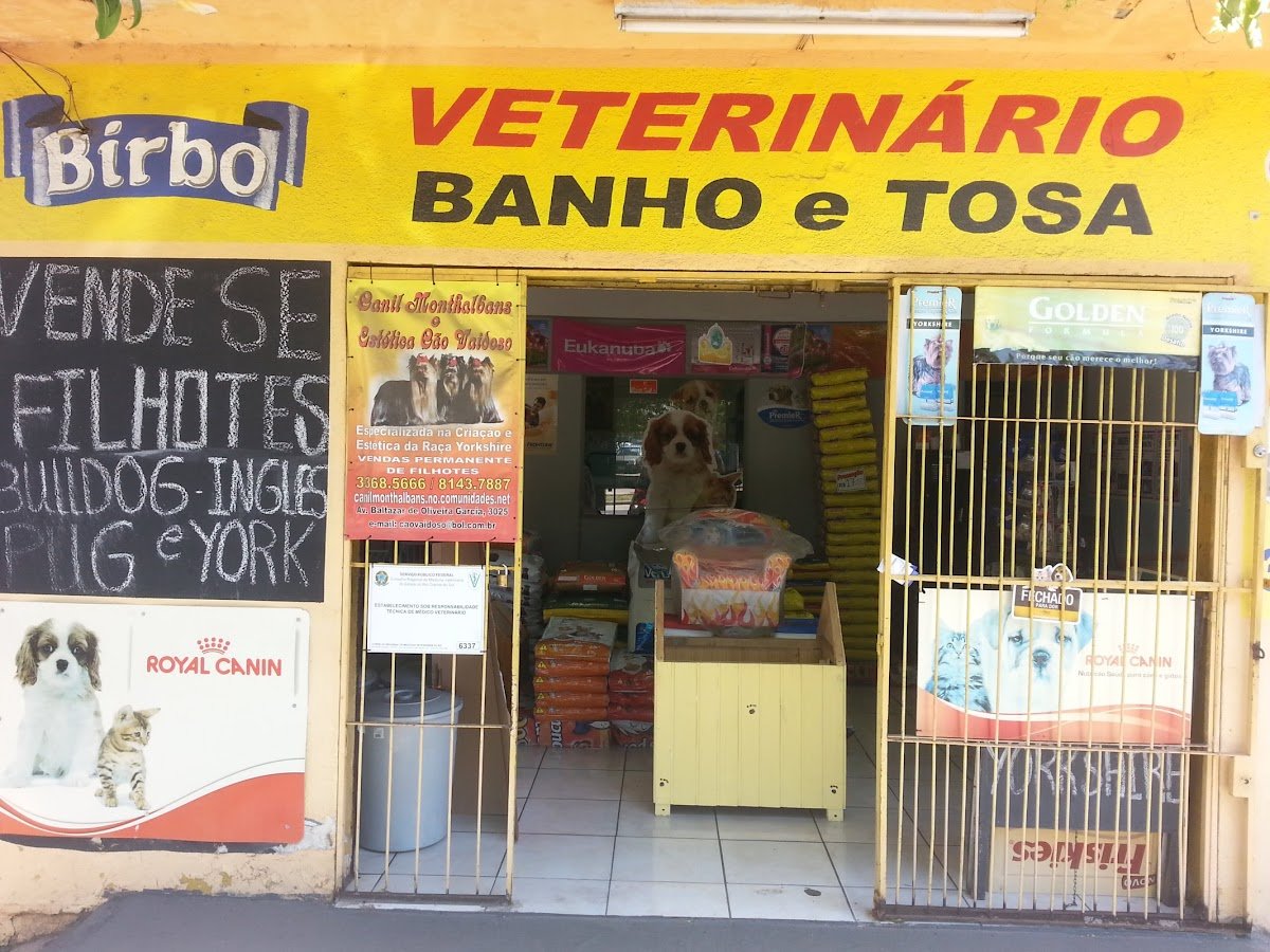 Pet Shop Cão Vaidoso
