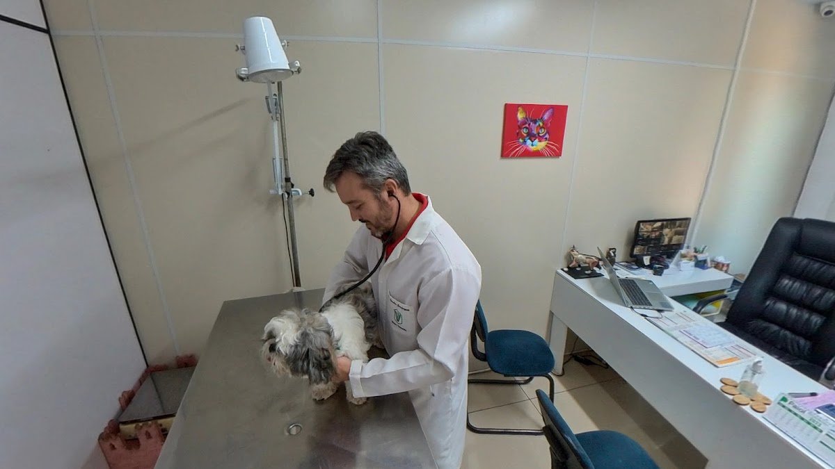 Vet House Clínica Veterinária